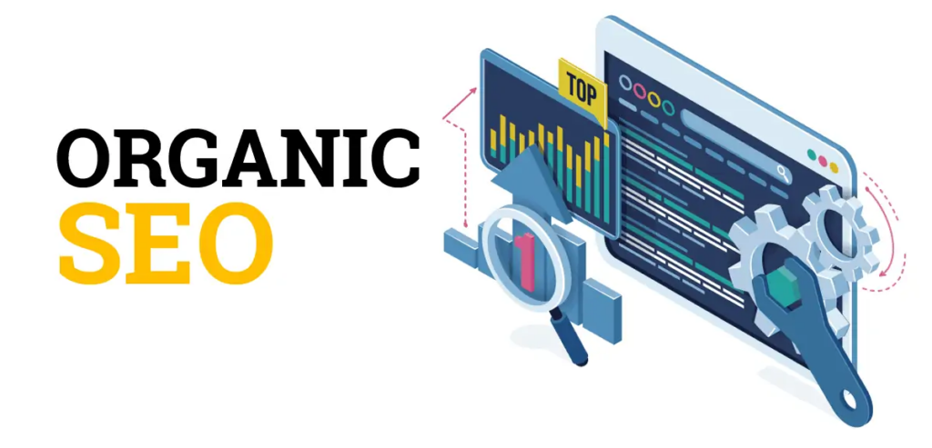 Organic SEO Services That Drive Results | Rank Naturally